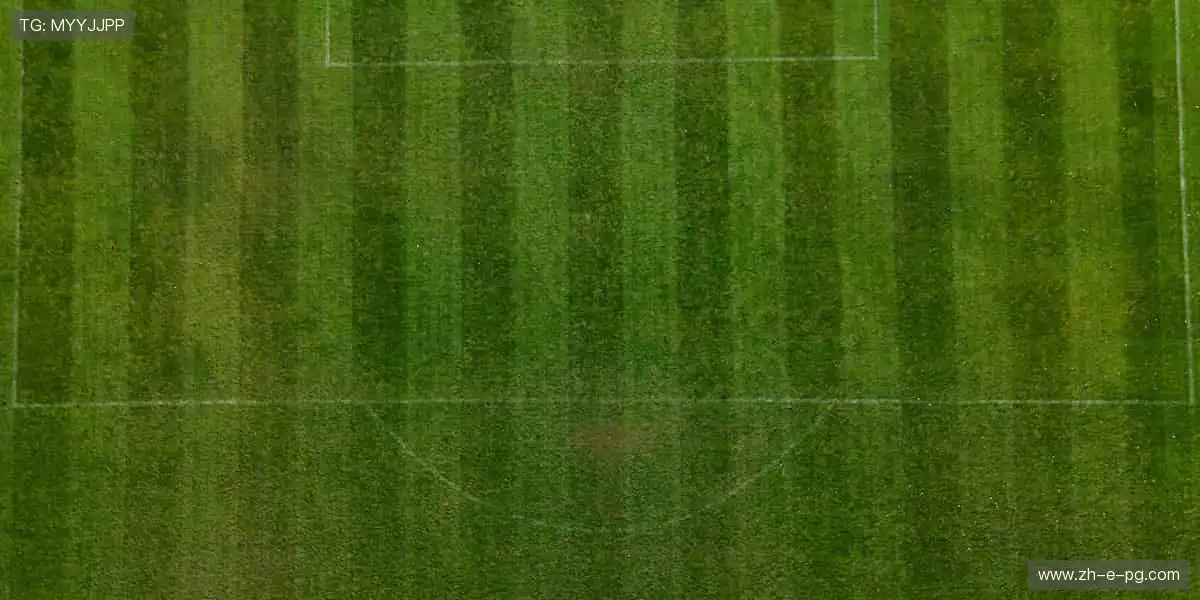 📱高清直播,实时追踪!错过瞬间,后悔一年🎥